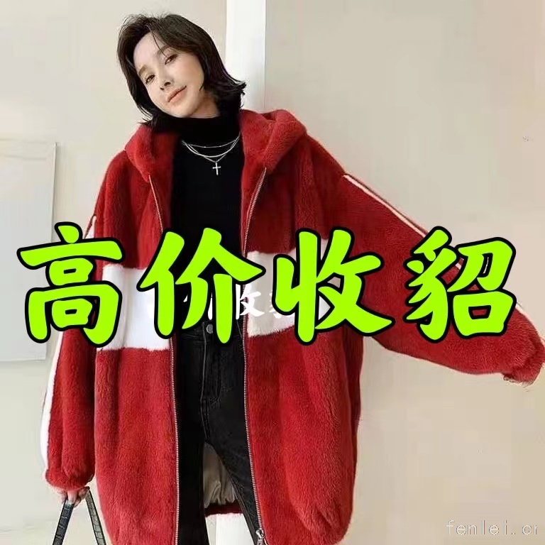 蚌埠回收貂皮#蚌埠市貂皮回收#上门收购皮草紫貂